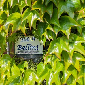 Bed & Breakfast Bellini 