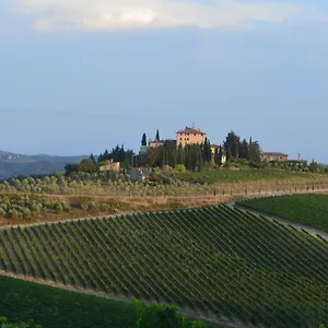 Gasthuis Damario Panorama